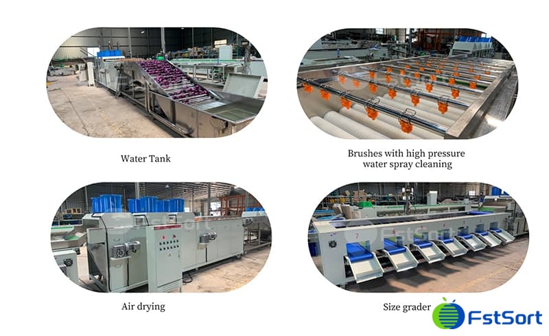 images/1717576092709eggplant processing machine.jpg